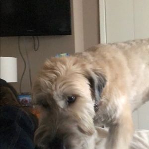 Meet your Posher, Shawn